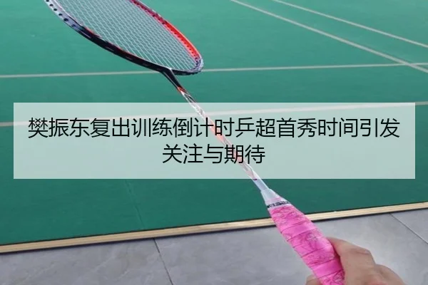 樊振东复出训练倒计时乒超首秀时间引发关注与期待